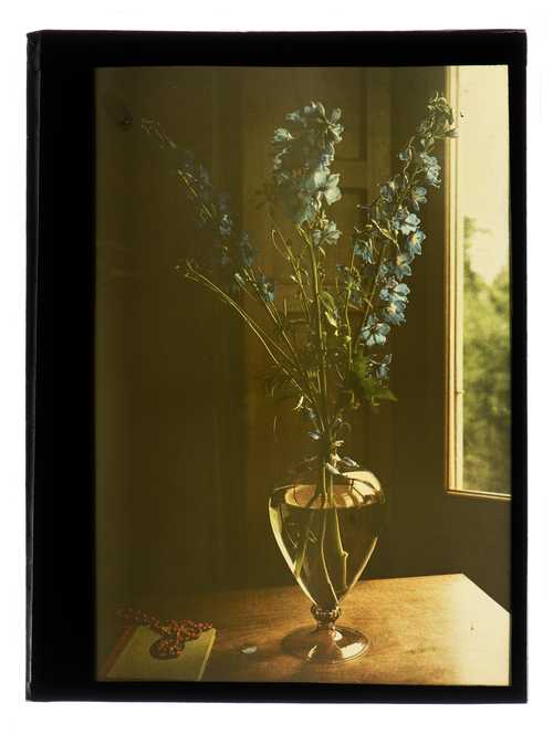 Unbekannt, Blumenstillleben, Autochrome, Reproduktionen nach den Originalen, 1907–1935
© als Sammlung by Jacques Herzog und Pierre de Meuron Kabinett, Basel.